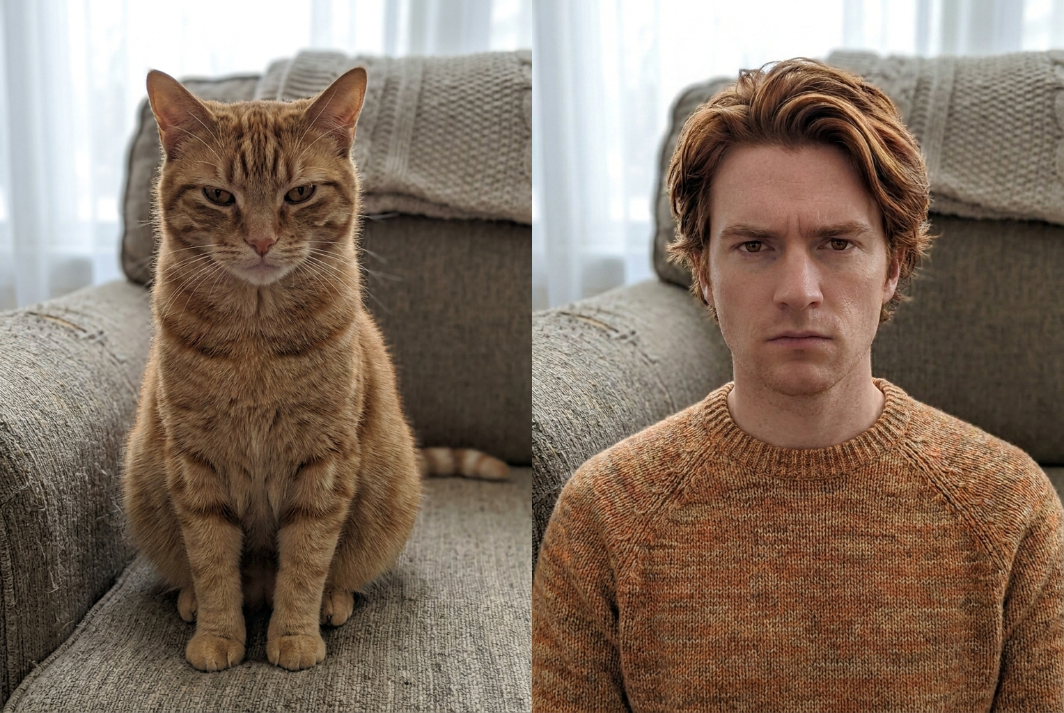 Amber eyes stay identical — and so does the unimpressed attitude