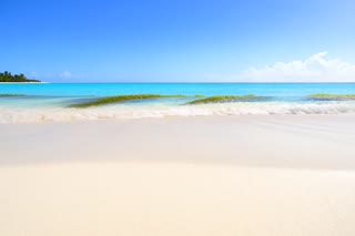 Use the uploaded Sea Moss Gel product image as the exact product reference. Create a realistic cinematic commercial shot. The camera starts on a beautiful tropical Caribbean beach with turquoise ocean water. Camera slowly moves forward toward the shoreline. Fresh sea moss is naturally visible near the water. At the end of the shot, transition to the uploaded Sea Moss Gel jar sitting on a clean wooden table. Do not change the product packaging, label, logo, jar shape, lid, or colors. No people. No text. No extra products. Premium natural wellness commercial.