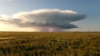 Wide sweeping shot of a vast open grassy landscape stretching toward the horizon, a massive thunderstorm building far in the distance, small and distant enough to reveal the storm's full towering structure against the sky, dark heavy clouds stacking upward with a clearly defined anvil-shaped top catching golden light along its edges, faint flashes of lightning visible deep within the cloud mass, a distinct curtain of rain hanging beneath the storm far off on the horizon, wide open expanse of untouched grassland or plains in the foreground under bright clear sky, gentle wind moving through the grass, muted golden-hour light raking across the landscape while the distant storm remains dark and dramatic, shot in the style of a National Geographic wildlife or landscape documentary, long telephoto lens compression emphasizing the scale and distance of the storm, natural true-to-life color grade with rich earthy tones, slow static hold or barely perceptible drift, patient and majestic atmosphere capturing the raw scale of nature at a respectful distance