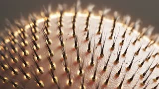 scene macro cinematografico che mostra la ricrescita dei capelli in time-lapse, focus esclusivo sulla cute e follicoli piliferi. Estetica naturale, organica, quasi scientifica. Setup: Key light: top-down diffuso (simula luce naturale) Rim light: leggero glow sui capelli per staccarli dallo sfondo No harsh shadows Temperatura colore: 4500K (warm neutral) Audio suggestion: Sottofondo: whoosh organico crescente Frequency sweep dal basso verso l'alto Finale: leggero "bloom" sound Reference Style: "Scientific nature documentary macro shot meets premium skincare commercial aesthetic" Key Visual Moments: Stato iniziale: diradamento visibile, cute esposta Momento "magic": primi capelli che spuntano (0.5s) Crescita accelerata: moltiplicazione follicoli (1-2s) Risultato finale: densità completa, movimento naturale Technical specs for Kive: Resolution: 1080x1920 (min) Frame rate: 60fps per smoothness Export: H. No text overlay (clean plate) Mood: Naturale, scientifico ma caldo, rassicurante. Deve sembrare un processo biologico reale accelerato, non un effetto CGI fasullo. L'effetto deve evocare "natura che fa il suo corso" + "scienza che funziona"