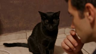 Create a new photorealistic cinematic continuation using the provided reference image only as visual reference. Do NOT recreate or animate the collage. The scene must look like real live-action footage inside the same home.

Use the exact same cat from the reference. Preserve its identity, face, fur pattern, colors, eyes, markings, proportions, ears, nose and whiskers. Keep the same realistic appearance throughout.

The cat remains beside the computer desk, close to the person working at the computer.

0–2s: The cat calmly watches the person after speaking. It blinks naturally and makes a subtle ear movement.

2–4s: The cat slowly looks toward the computer screen, then back toward the person, as if judging what they are doing.

4–8s: The cat speaks naturally in Brazilian Portuguese:
"Mas continua aí. Vai que depois de mais três horas você finalmente consegue."

Keep the mouth and muzzle movement subtle and realistic. The cat must remain anatomically feline and must never look human.

8–11s: The cat finishes speaking, pauses silently and stares at the person with a calm, slightly judgmental expression. It makes a tiny head tilt and subtle ear movement.

Realistic breathing, blinking, whiskers, eyes and fur. No human lips, teeth or facial expressions. No exaggerated movements.

Stable cinematic camera at natural cat eye level. Natural lighting, realistic shadows, realistic depth of field and consistent perspective.

No cuts, no zoom, no camera shake.

The final result must look like authentic footage of the same real cat inside the same home. The only unusual element is that the cat can speak. sem aparecer o cara na imagem 

