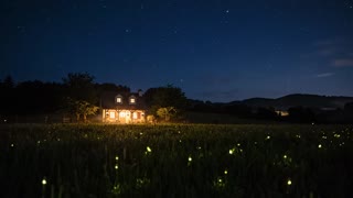 Static locked-off wide camera, no movement. A quiet countryside cottage at night, seen from a distance across a dark meadow. Warm amber light glows from the windows and from two hanging oil lanterns on the porch, their flames steady and calm. Dozens of fireflies drift slowly and softly over the tall grass, each one blinking gently with a faint golden-green glow at random, slow intervals. Deep blue-black night sky with a few faint stars, the silhouette of trees and hills behind the house. The lantern light breathes very slightly, slow and subtle. Warm amber and gold against deep indigo darkness, soft light bloom, shallow haze, cinematic, serene, 8 seconds. No people, no animals except fireflies, no text, no smoke, no wind. Ambient audio only: soft crickets and distant night stillness, no music, no voices