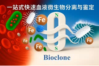 • All text stays perfectly still at all times, while the ocean background moves gently.
• Red blood cells and bacteria move softly on the left side.
• The N–S magnet glows with a steady highlight.
• Magnetic waves flow smoothly toward the right.
• The red blood cells remain in place, and only the Fe-tagged microbes rush through the magnet with a windstorm effect, transforming into a large white rod-shaped E. coli with pili, after which the magnet disappears.
• The large white rod-shaped E. coli with pili becomes the main focus, with a large rising ocean wave behind it.
• The final frame loops with the moving ocean waves, while all other elements remain fixed in place.