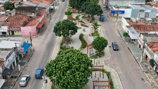 the scene unfolds throughout the entire plaza area. Vehicles travel along the road, respecting traffic laws, the direction of travel, and a safe distance between them. The foliage of the tree moves slightly in the wind.